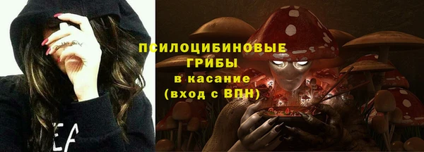 2c-b Алзамай