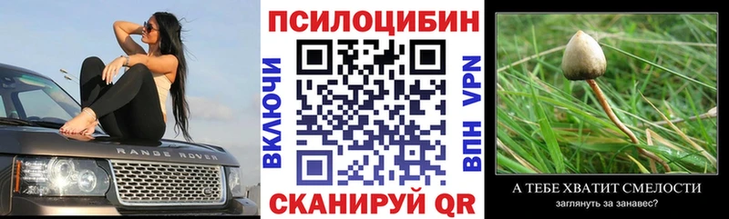 Псилоцибиновые грибы Cubensis  mega ссылки  Краснослободск 